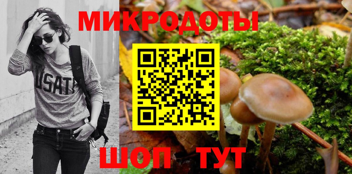 Ачхой-Мартан  Галлюциногенные грибы прущие грибы  Вход с VPN 